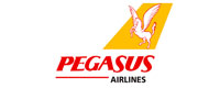 pegasus