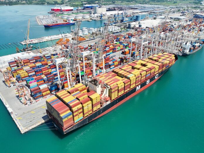 MSC AGAMEMNON VIII