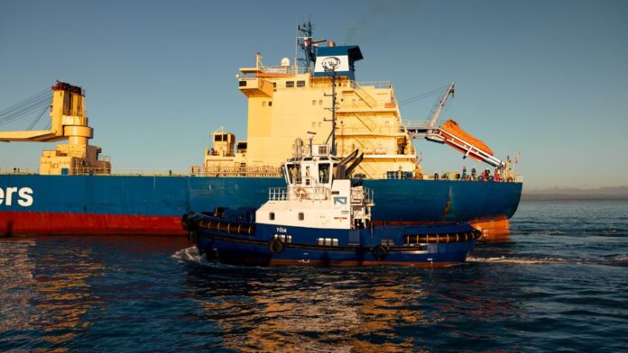 Port Nelson has reported an underlying net profit, supported by strong cargo throughput and revenue 15% ahead of the prior year.