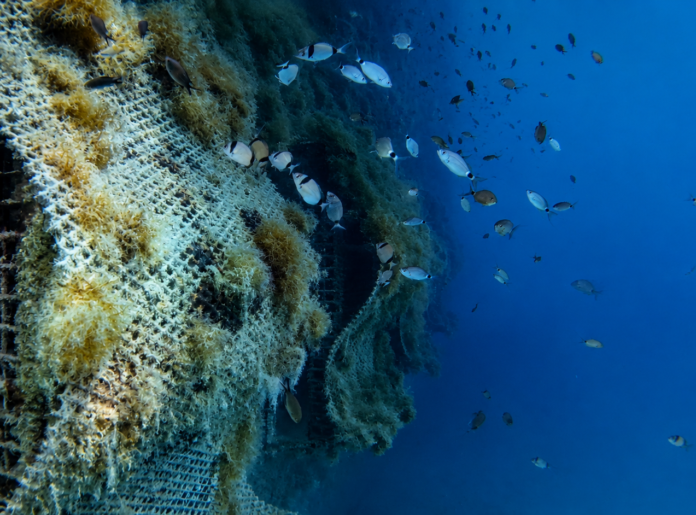 The Port of San Diego Board of Port Commissioners has approved a new Blue Economy Incubator pilot project with Ocean Ecostructures.